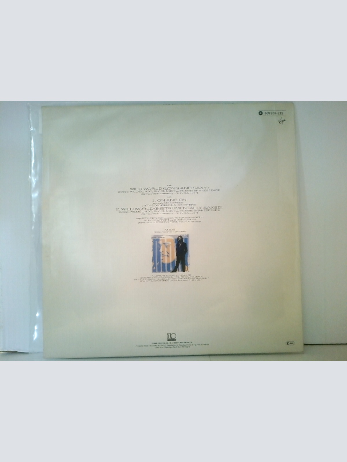 MAXI 12' / Maxi Priest – Wild World