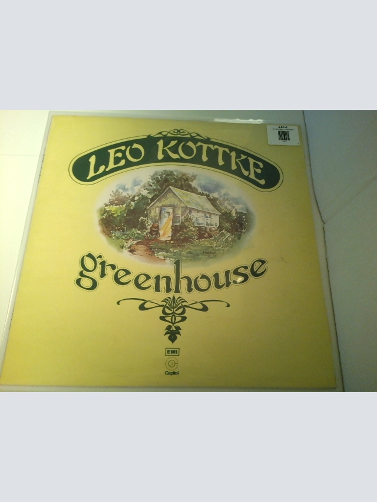 LP / Leo Kottke – Greenhouse