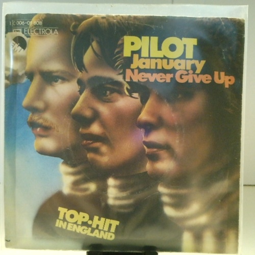 SINGLE / Pilot – January