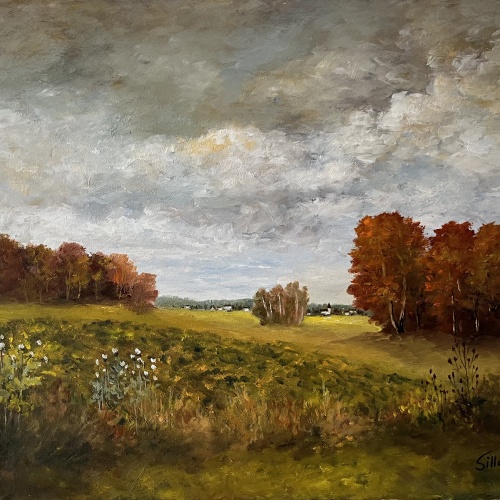 Dorfstimmung  - Silldorff