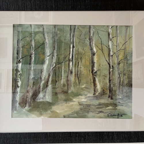 Birkenwald - Silldorff