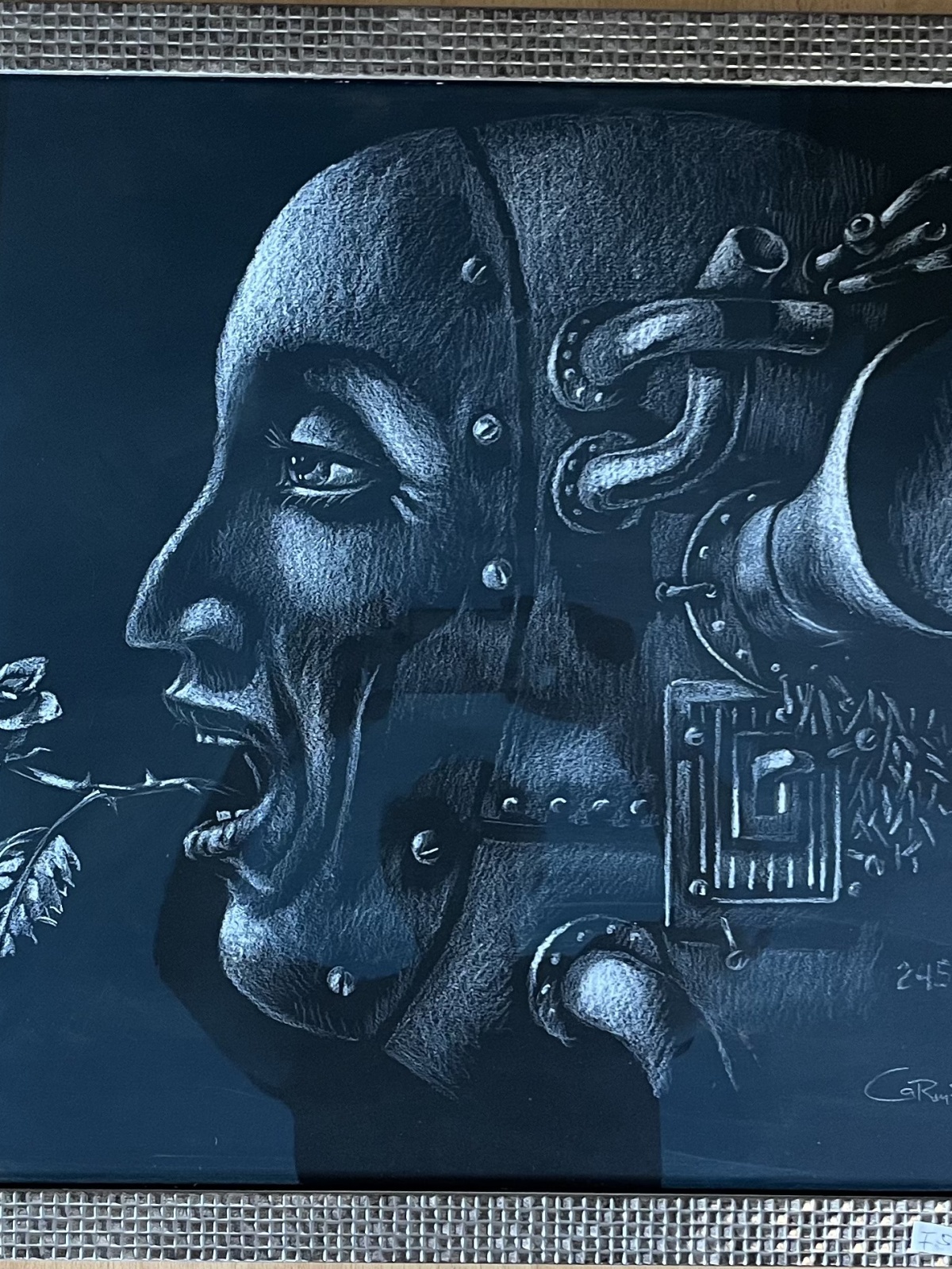 Alle Sinne - Carmelo Hijo