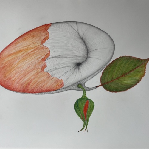 Kraft der Natur - Wolfgang Galler