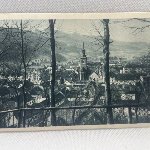AK Bruck an der Mur vom Schlossberg 1918
