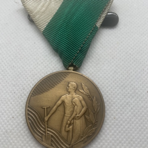 Medaille Hochwassereinsatz 1958