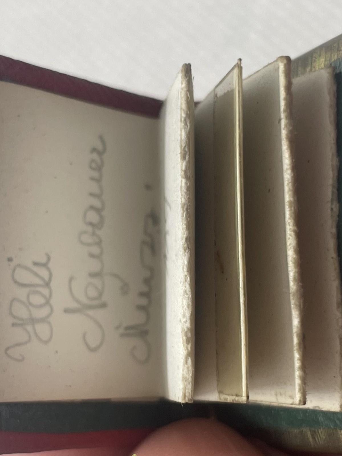 Antikes Religiöses Mariazell Buch Mitbringsel Anhänger mit Bildern