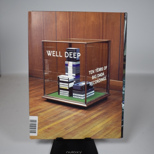 DVD / Various Artists - Well Deep: 10 Years of Big Dada Recordings