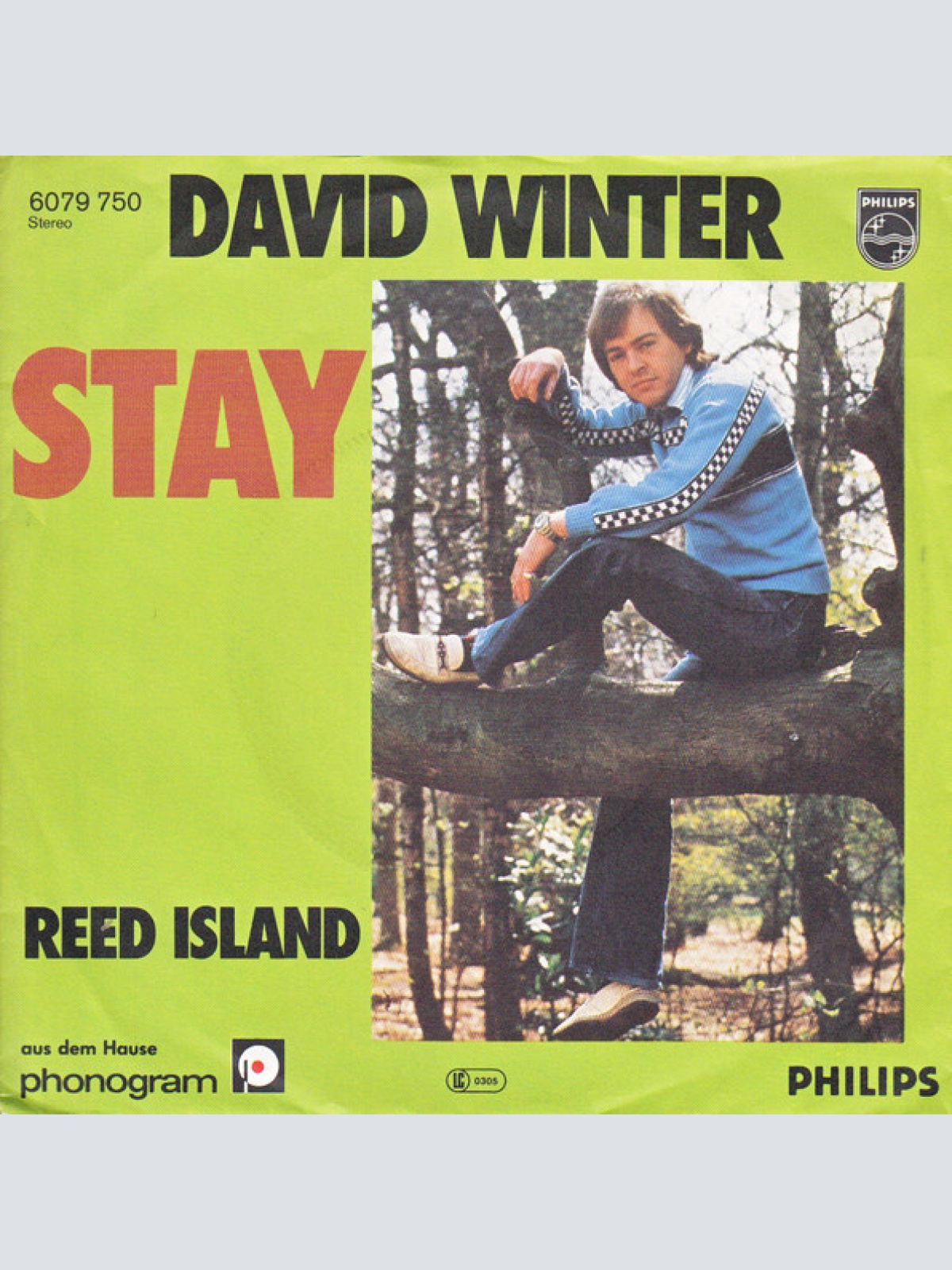 Vinyl / David Winter - Stay / Reed Island