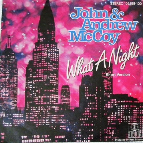 Vinyl / John & Andrew McCoy - What A Night