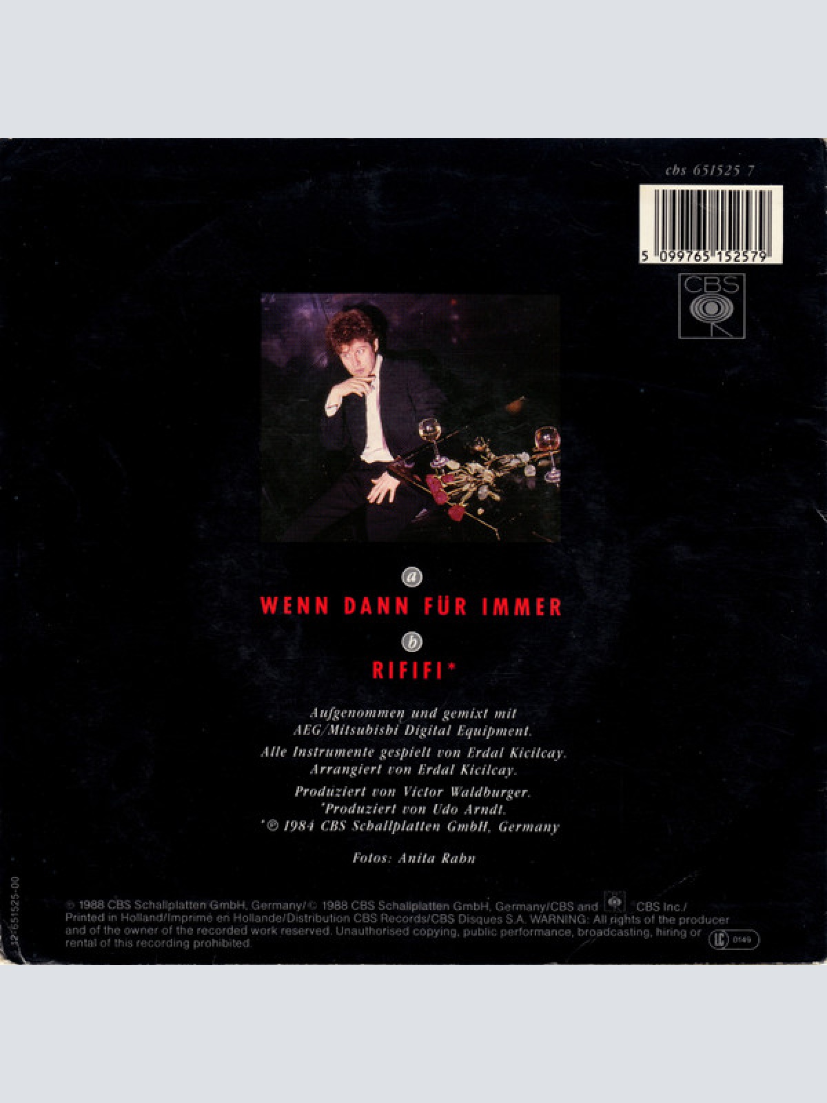 Vinyl / Alan Woerner - Wenn Dann Für Immer