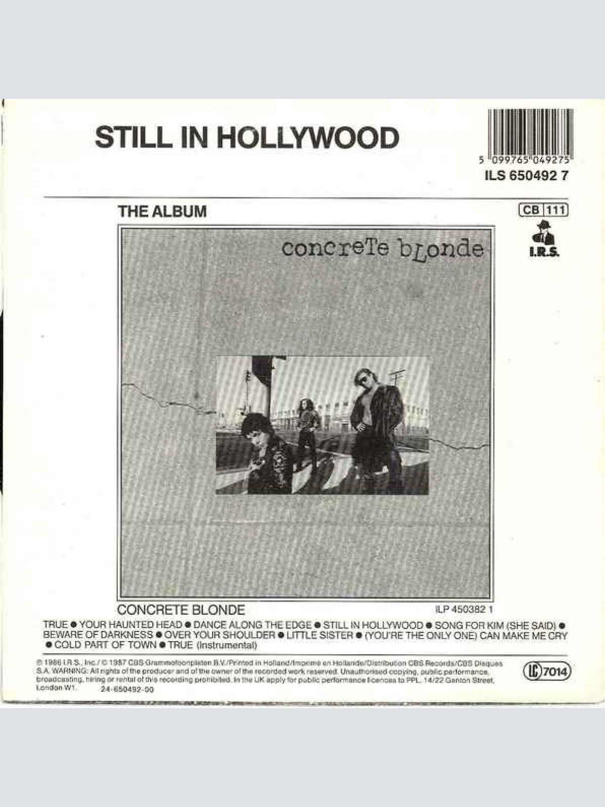 Vinyl / Concrete Blonde - True