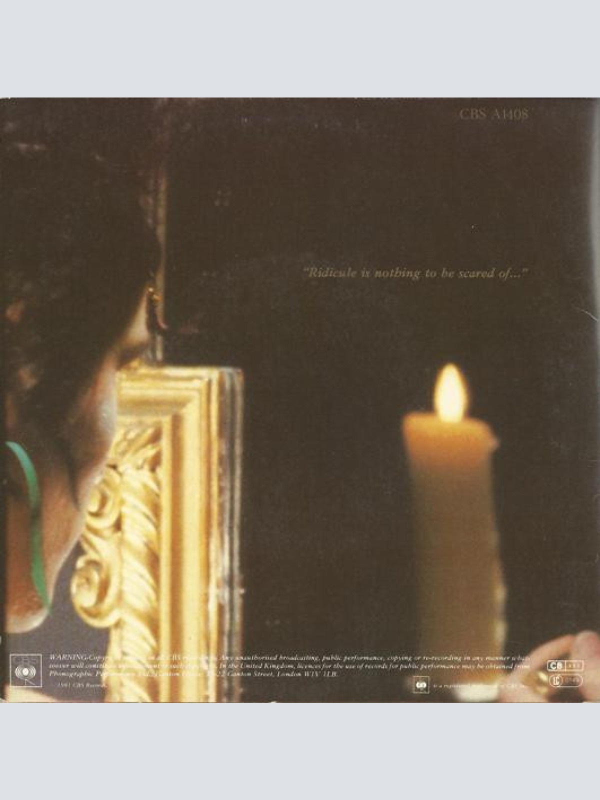 Vinyl / Adam And The Ants - Prince Charming