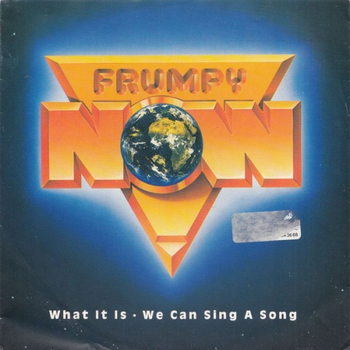 Vinyl / Frumpy - What It Is