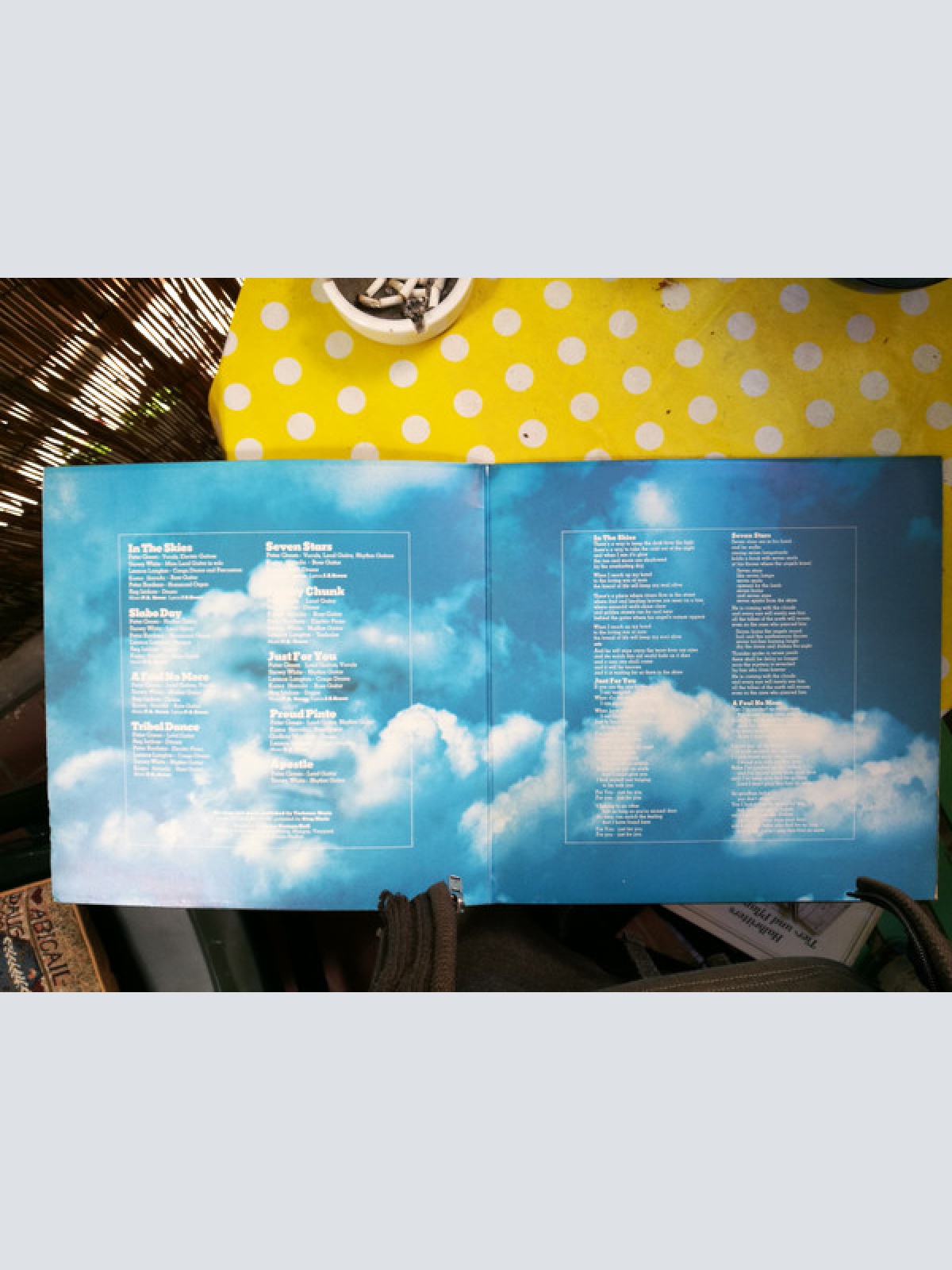 Vinyl / Peter Green (2) - In The Skies