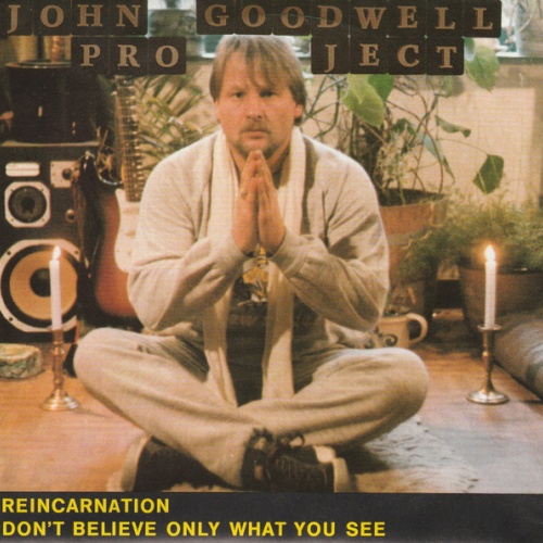 Vinyl / John Goodwell Project - Reincarnation