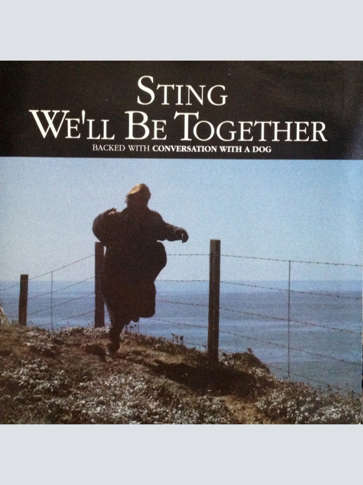 Vinyl / Sting - We'll Be Together