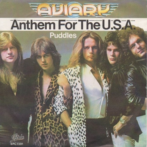 Vinyl / Aviary - Anthem For The U.S.A.