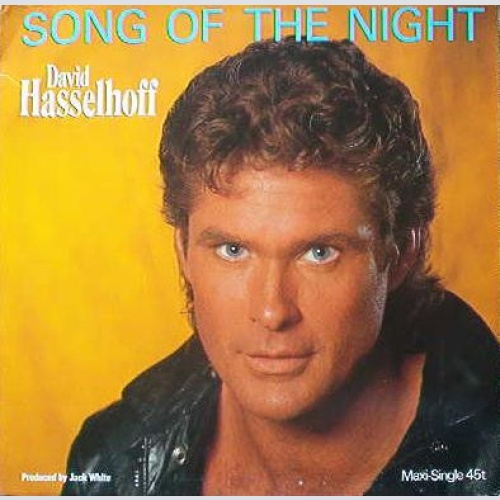 Vinyl / David Hasselhoff - Song Of The Night