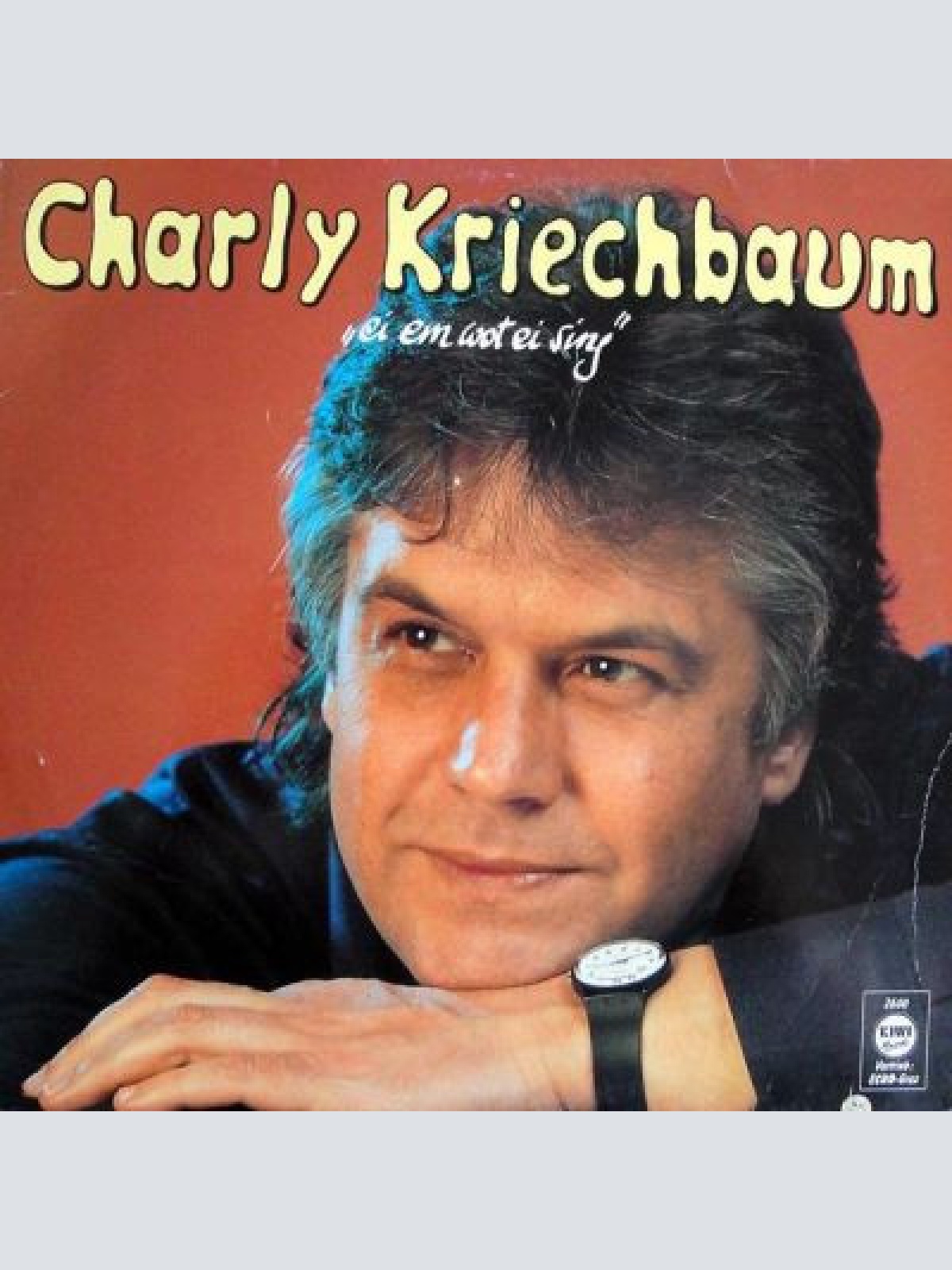 Vinyl / Charly Kriechbaum - Ei Em Wot Ei Sing