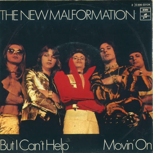Vinyl / The New Malformation* - But I Can't Help