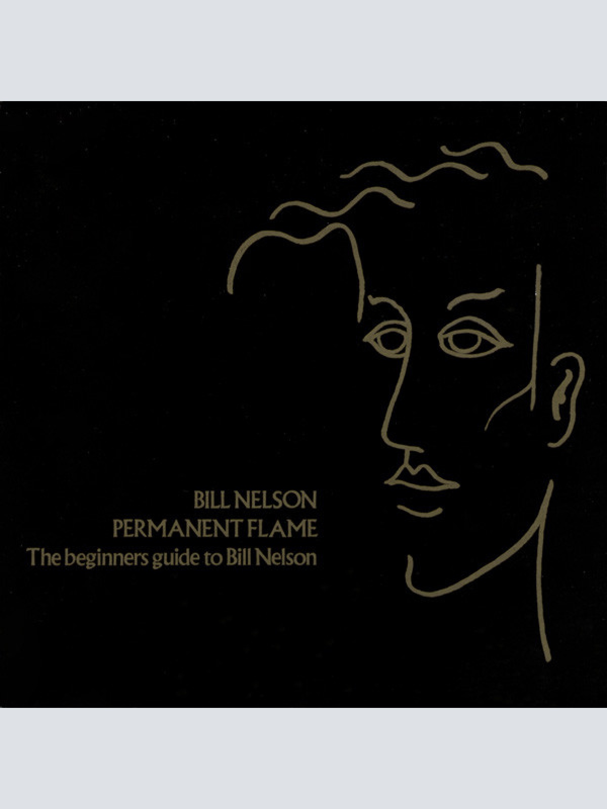 Vinyl / Bill Nelson - Permanent Flame (The Beginners Guide To Bill Nelson)