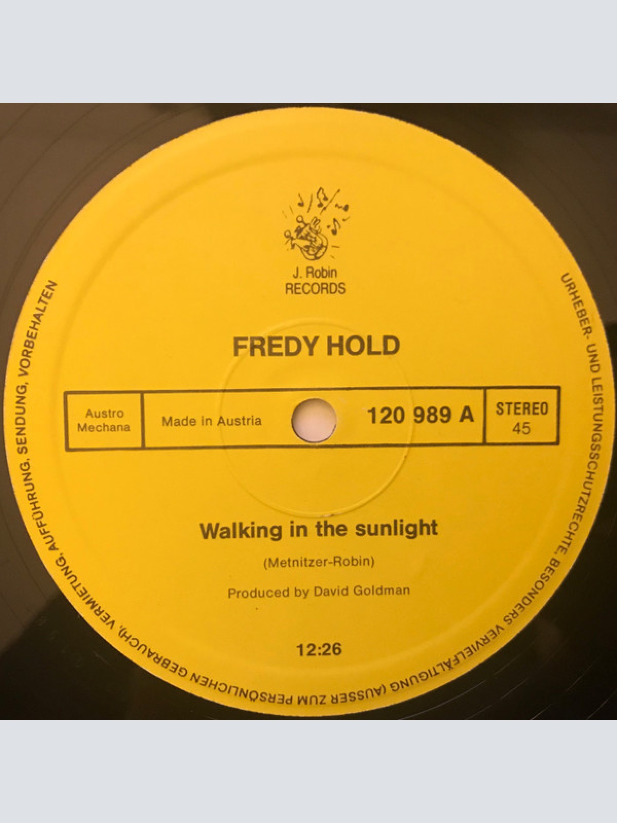 Vinyl / Fredy Hold - Walking In The Sunlight