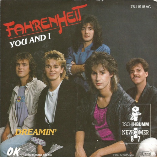 Vinyl / Fahrenheit (2) - You And I