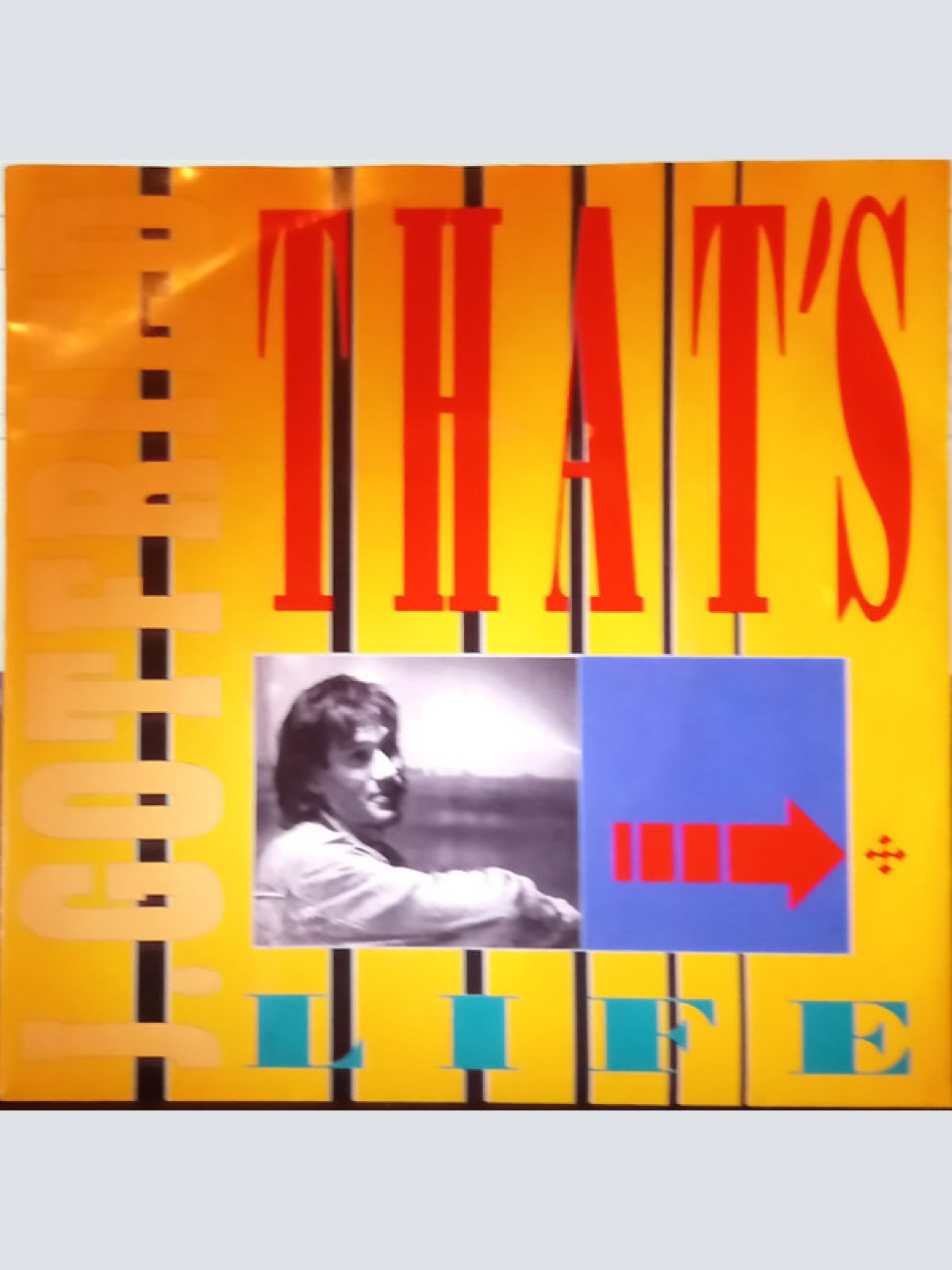 Vinyl / J. Gotfried - That's Life