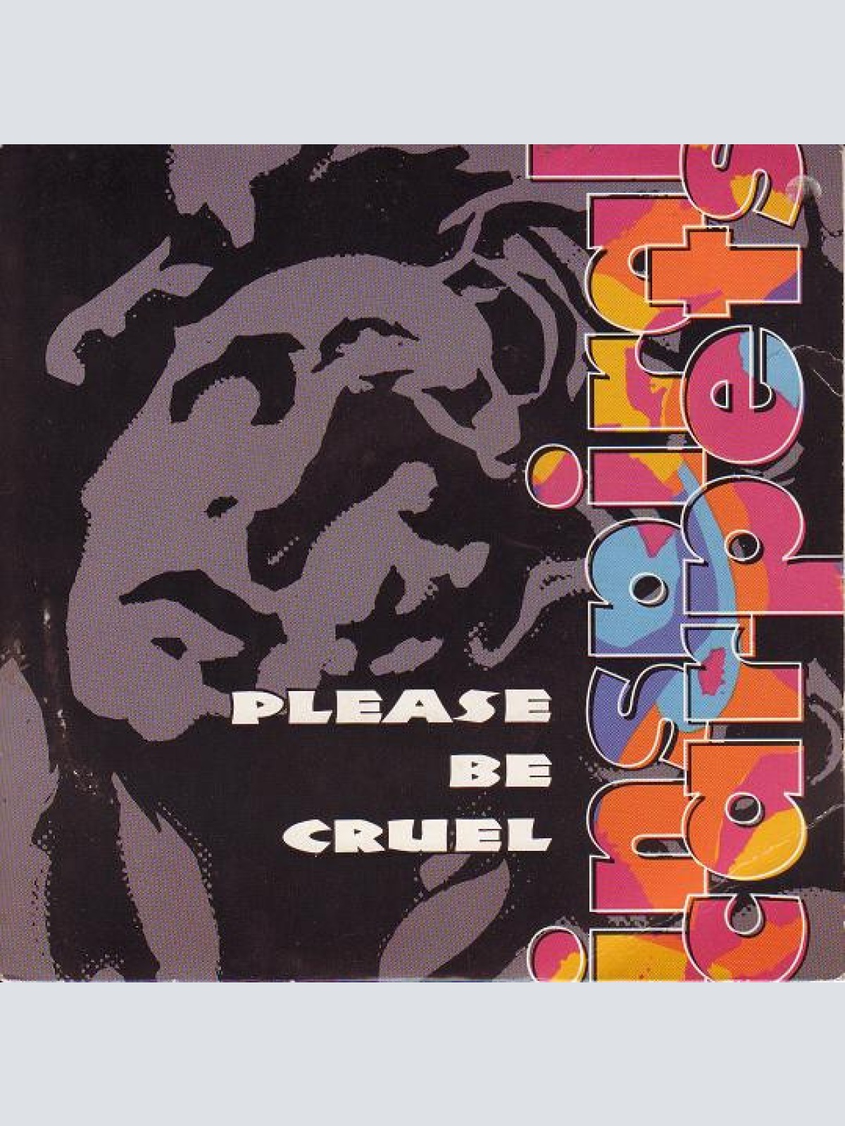 Vinyl / Inspiral Carpets - Please Be Cruel