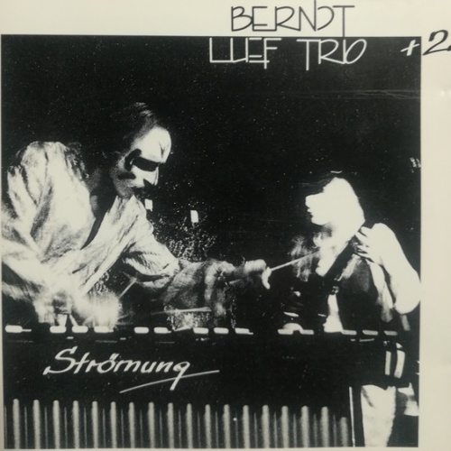 CD / Berndt Luef Trio +2* - Strömung