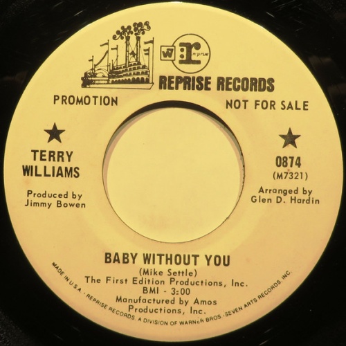 Vinyl / Terry Williams -  Baby Without You