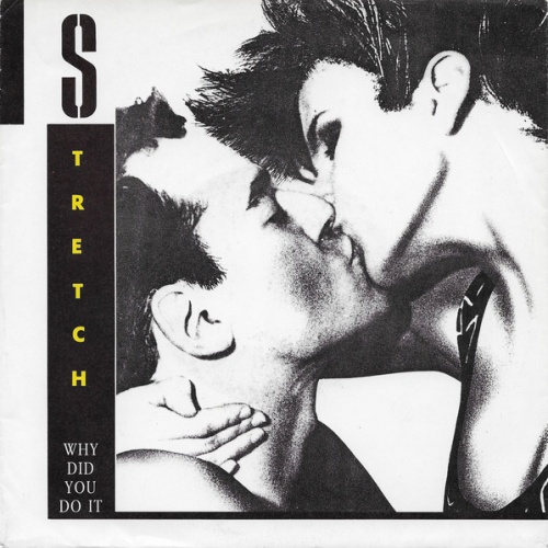 Vinyl / Stretch - Why Did You Do It