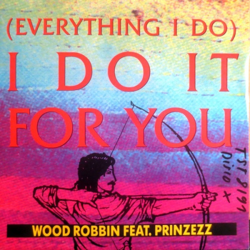 Vinyl / Wood Robbin Feat. Prinzezz - (Everything I Do) I Do It For You