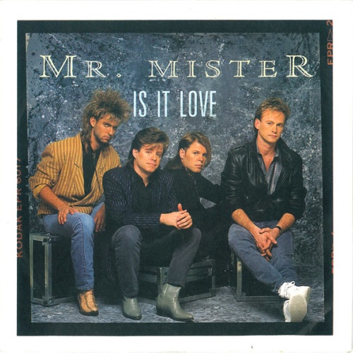 Vinyl / Mr. Mister - Is It Love