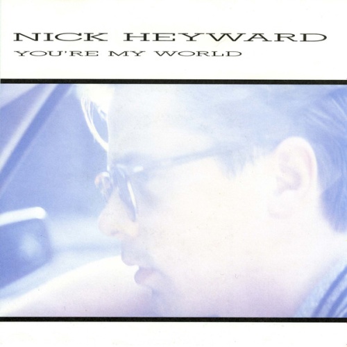 Vinyl / Nick Heyward - You're My World