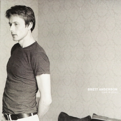 Vinyl / Brett Anderson - Love Is Dead