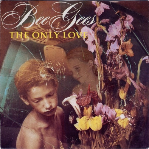 Vinyl / Bee Gees - The Only Love