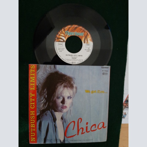 Vinyl / Chica (8) - Nutbush City Limits