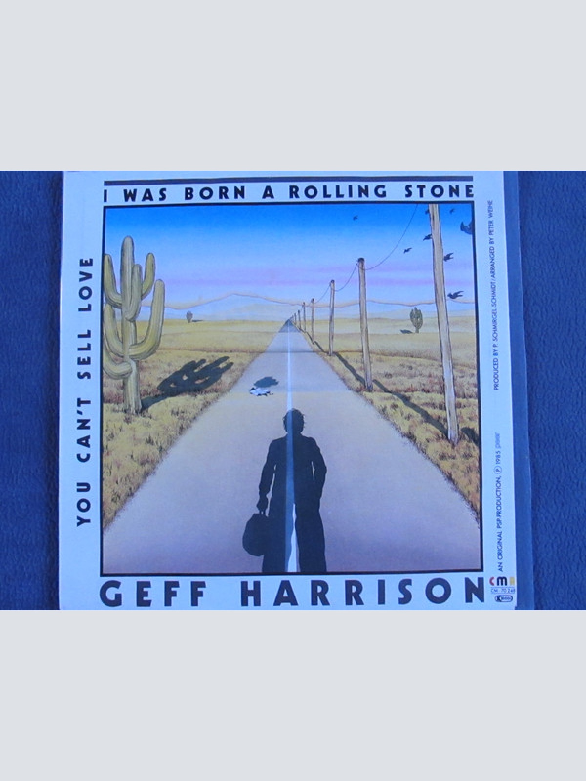 Vinyl / Geff Harrison - I Was Born A Rolling Stone