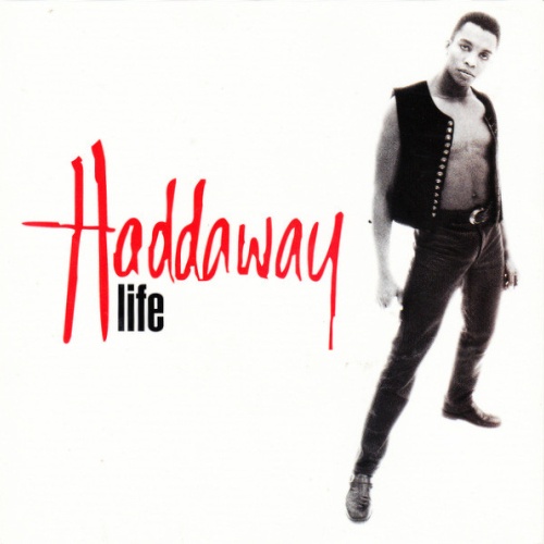 Vinyl / Haddaway - Life