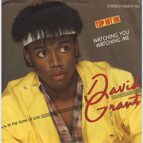 Vinyl / David Grant - Watching You Watching Me