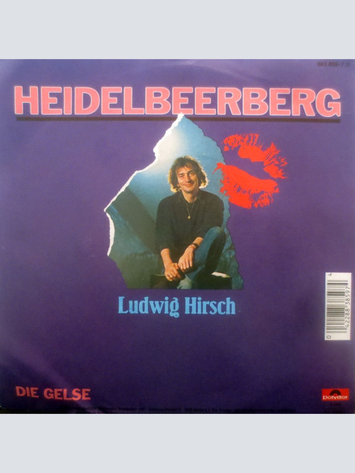 Vinyl / Ludwig Hirsch - Heidelbeerberg
