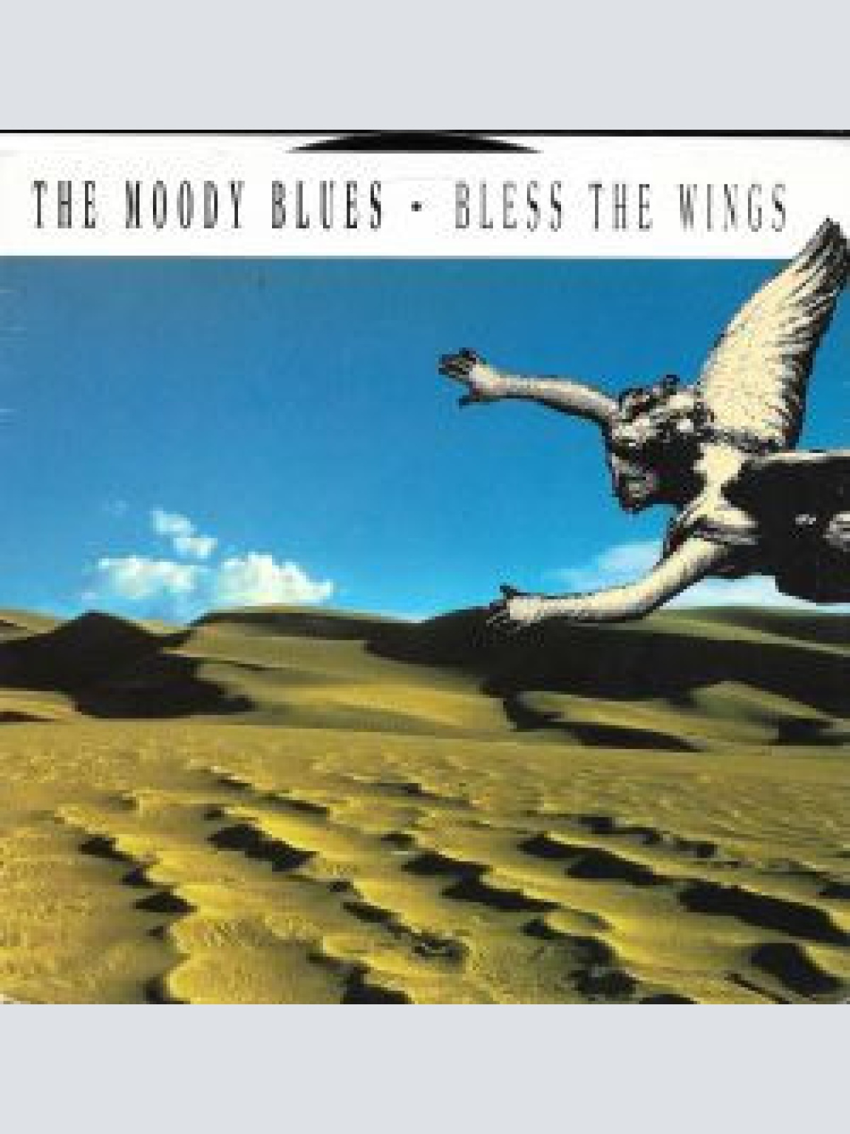 Vinyl / The Moody Blues - Bless The Wings