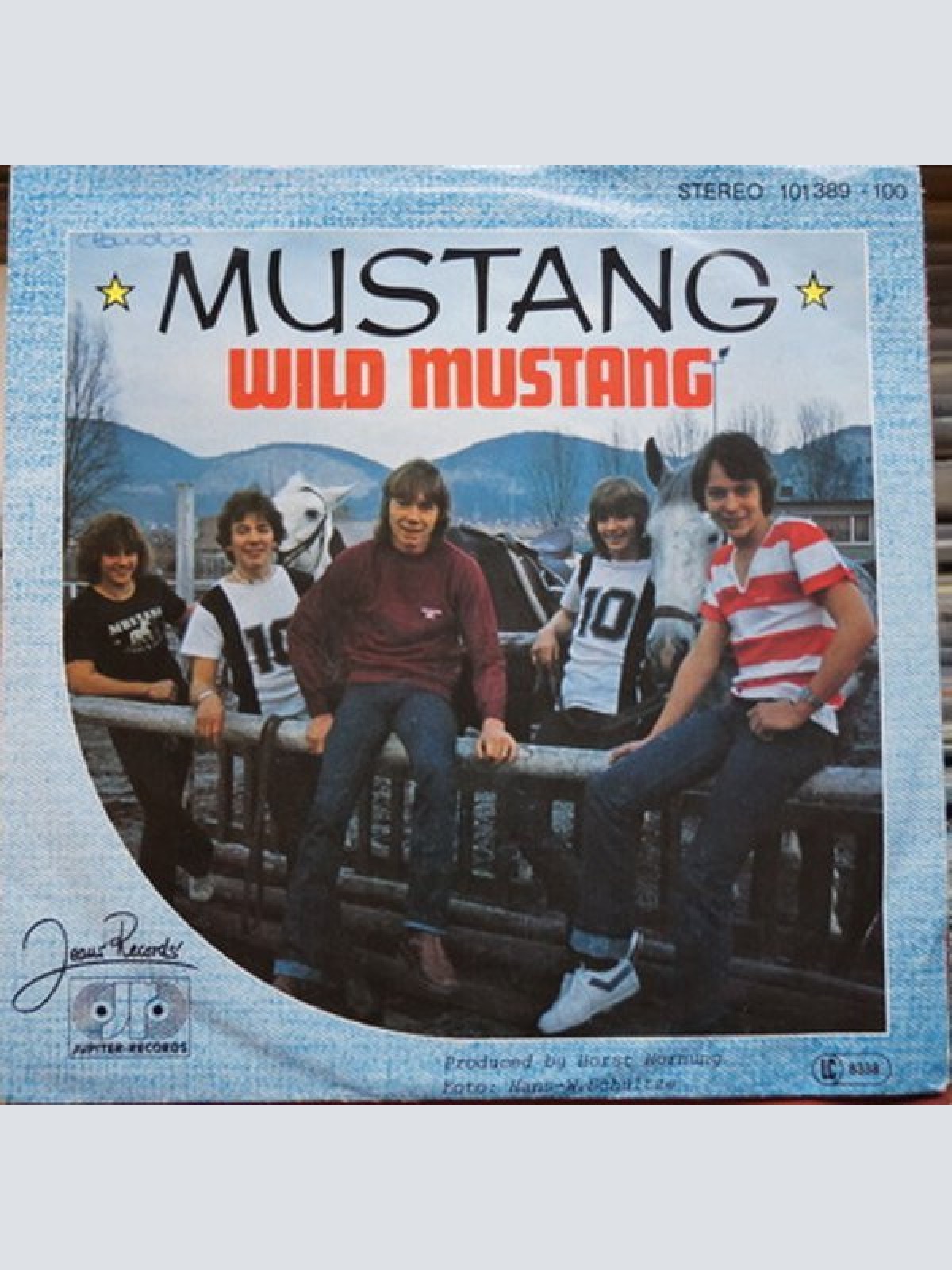 Vinyl / Mustang (19) - Wild Mustang