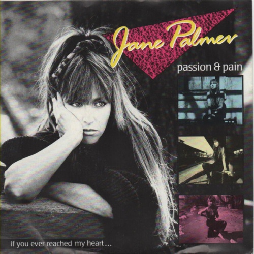 Vinyl / Jane Palmer - Passion & Pain