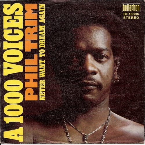 Vinyl / Phil Trim - A 1000 Voices
