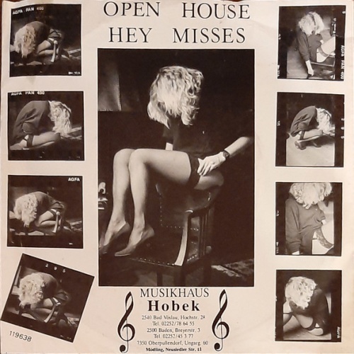 Vinyl / Open House (5) - Hey Misses