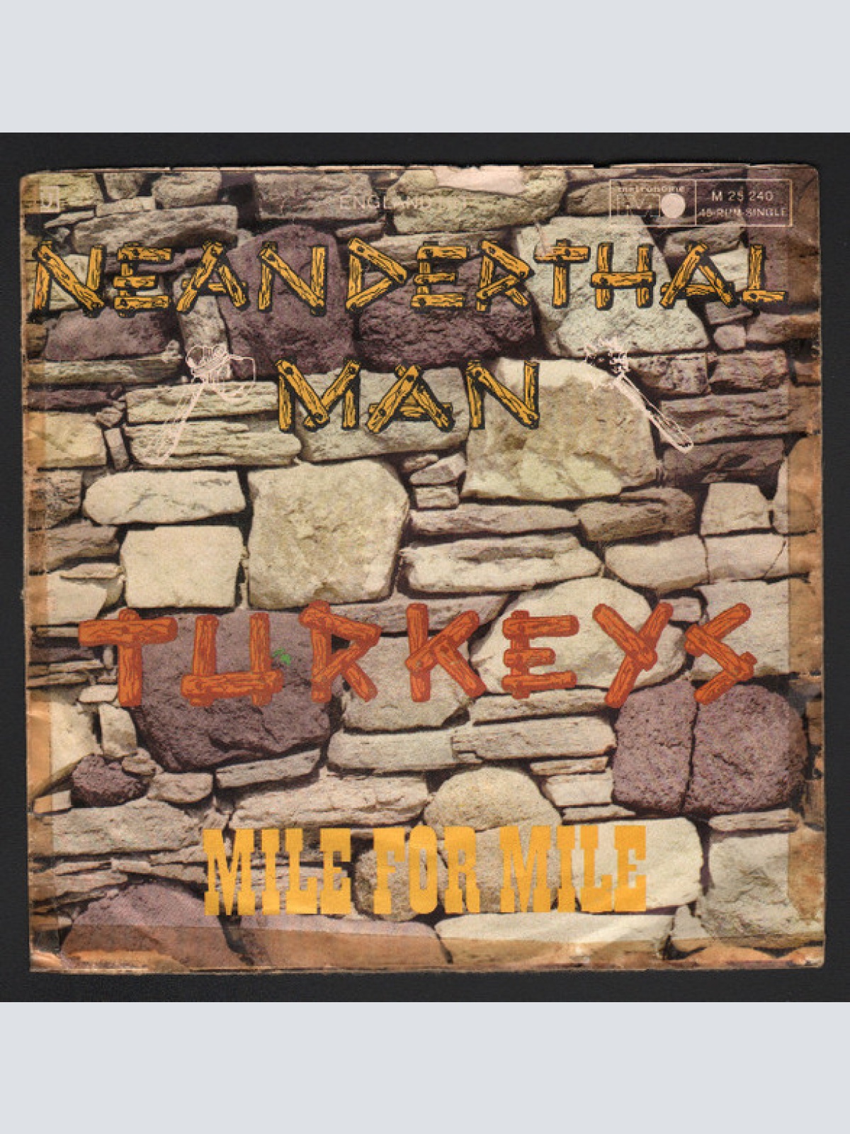 Vinyl / Turkeys - Neanderthal Man
