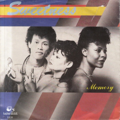 Vinyl / Sweetness - Memory