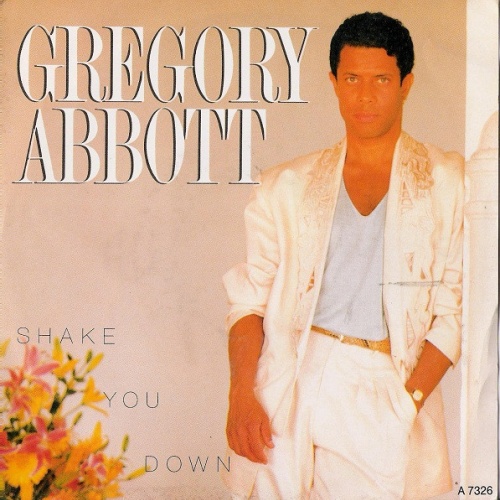 Vinyl / Gregory Abbott - Shake You Down
